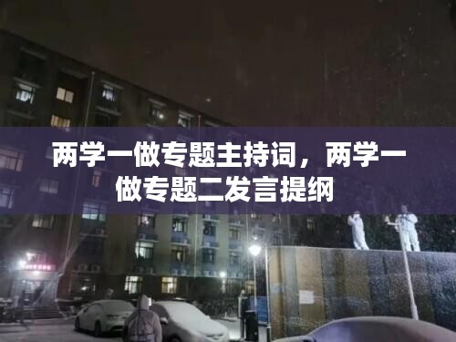 两学一做专题主持词，两学一做专题二发言提纲 