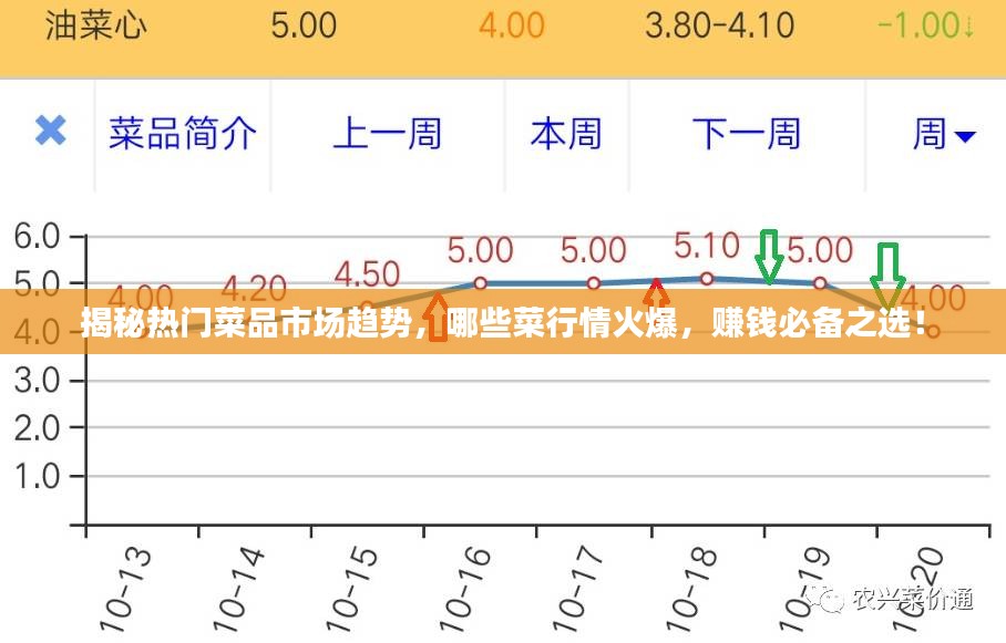 揭秘热门菜品市场趋势，哪些菜行情火爆，赚钱必备之选！