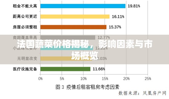 法国蔬菜价格揭秘，影响因素与市场概览