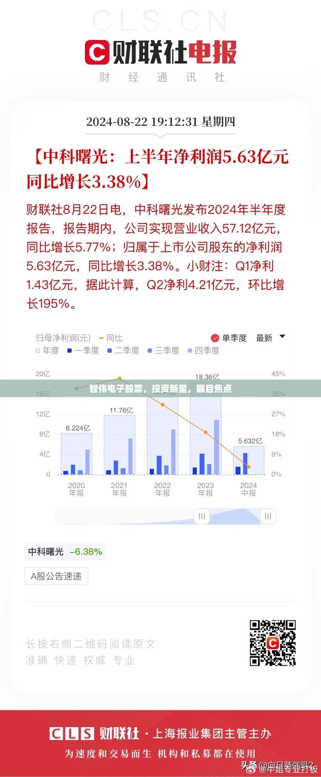 智伟电子股票，投资新星，瞩目焦点