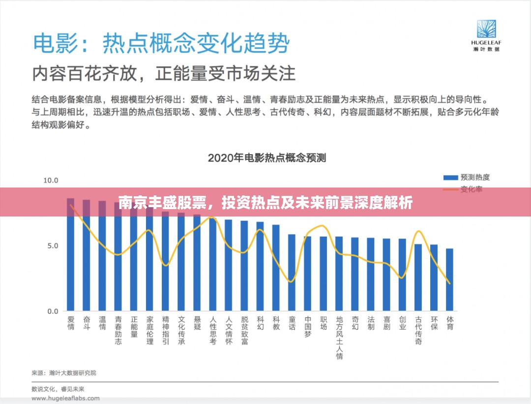 南京丰盛股票，投资热点及未来前景深度解析