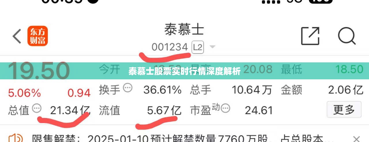 泰慕士股票实时行情深度解析