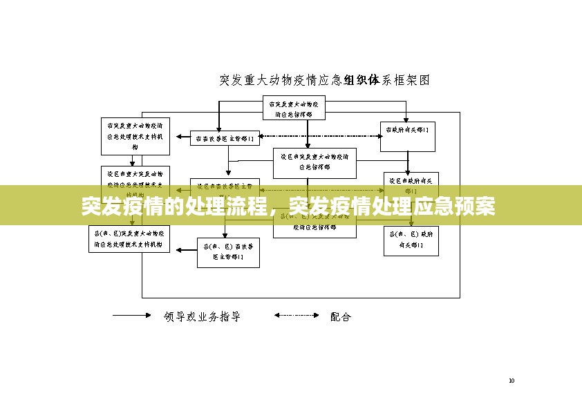 突发疫情的处理流程，突发疫情处理应急预案 