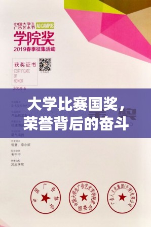 大学比赛国奖，荣誉背后的奋斗历程与成长蜕变