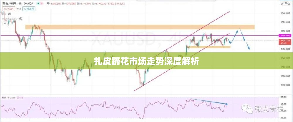 扎皮蹄花市场走势深度解析