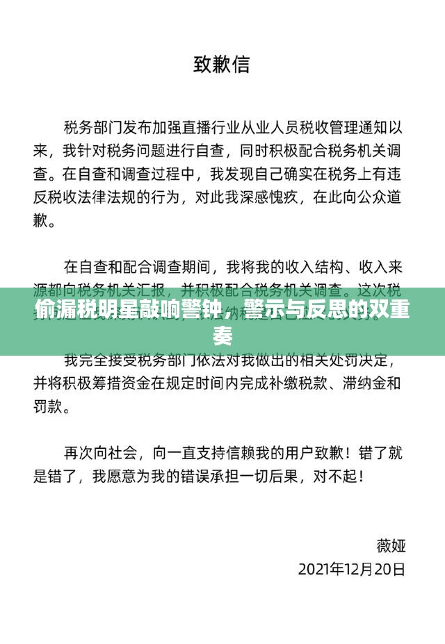 偷漏税明星敲响警钟，警示与反思的双重奏