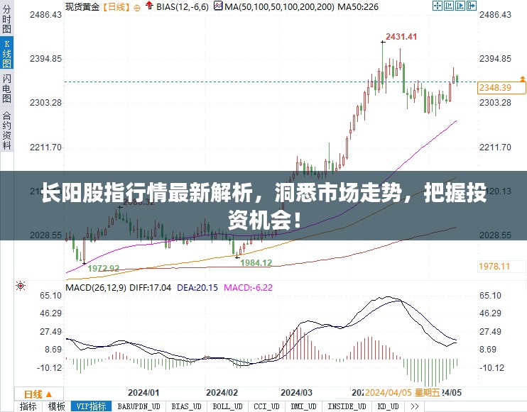 长阳股指行情最新解析，洞悉市场走势，把握投资机会！