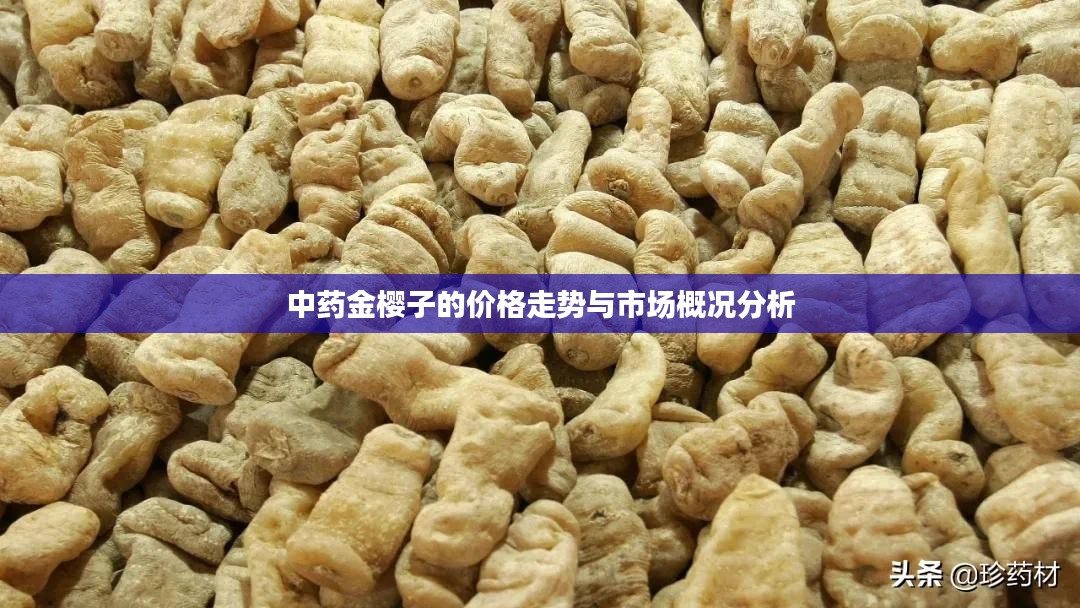 中药金樱子的价格走势与市场概况分析