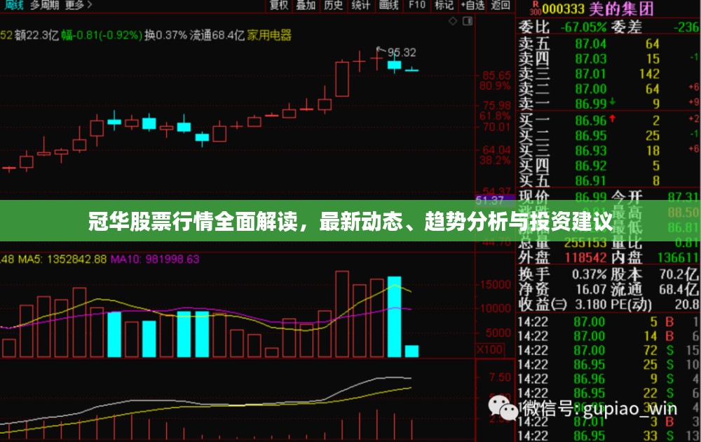 冠华股票行情全面解读，最新动态、趋势分析与投资建议