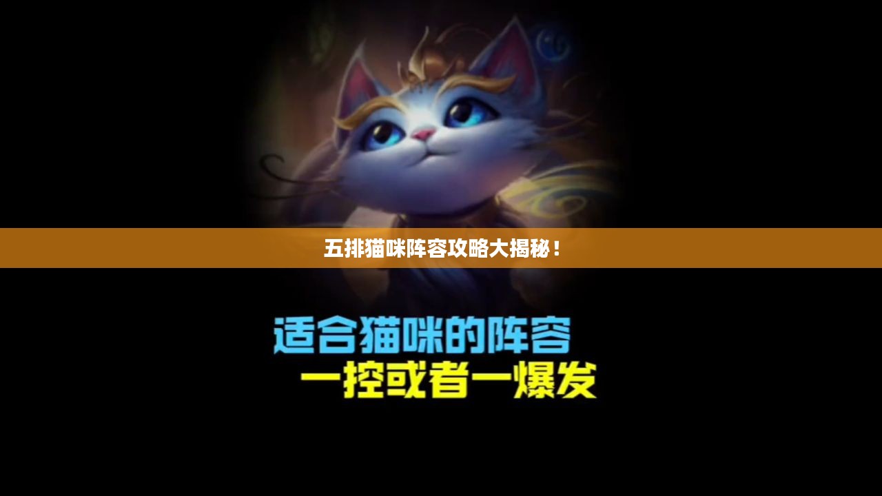 五排猫咪阵容攻略大揭秘！