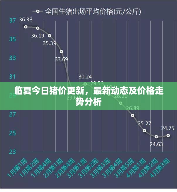 临夏今日猪价更新，最新动态及价格走势分析