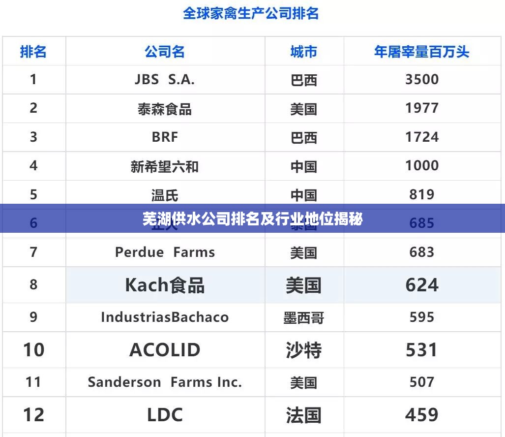 芜湖供水公司排名及行业地位揭秘