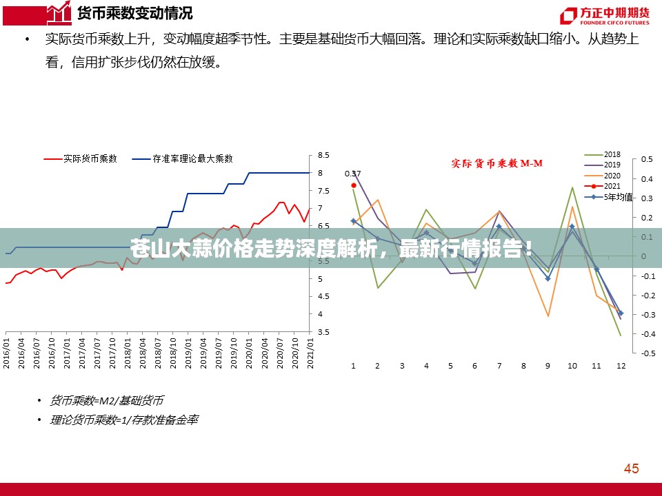 苍山大蒜价格走势深度解析，最新行情报告！