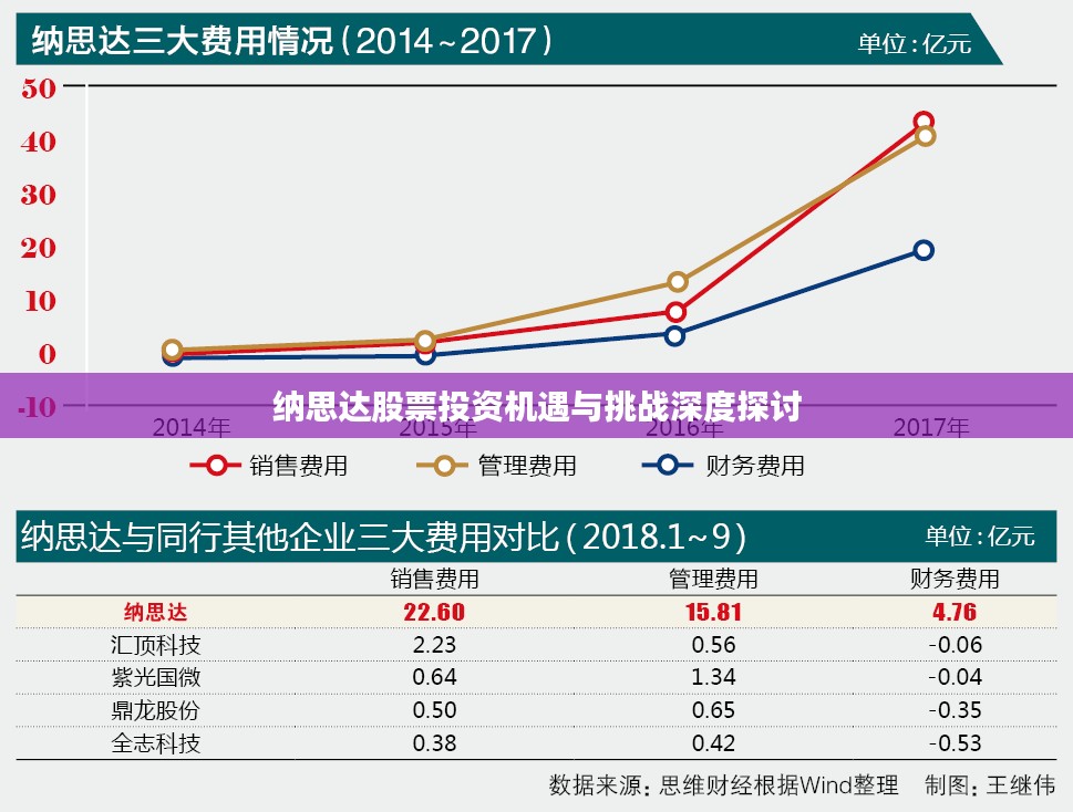 纳思达股票投资机遇与挑战深度探讨