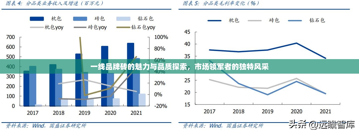 一线品牌砖的魅力与品质探索，市场领军者的独特风采