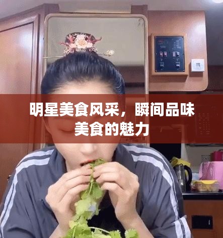 明星美食风采，瞬间品味美食的魅力