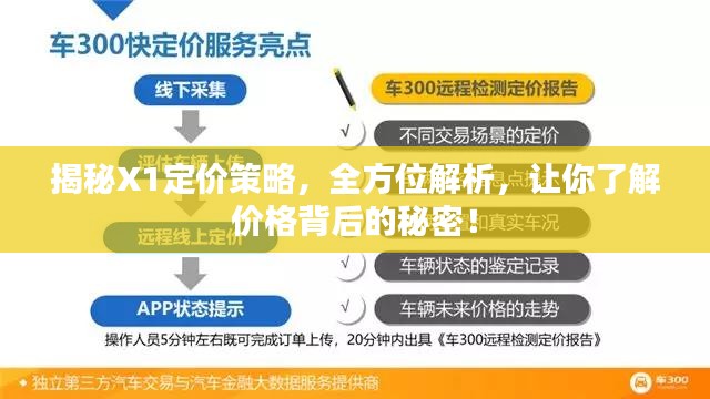 揭秘X1定价策略，全方位解析，让你了解价格背后的秘密！