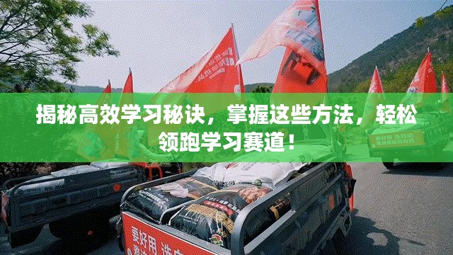 揭秘高效学习秘诀，掌握这些方法，轻松领跑学习赛道！