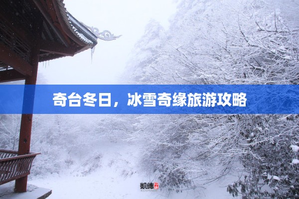 奇台冬日，冰雪奇缘旅游攻略