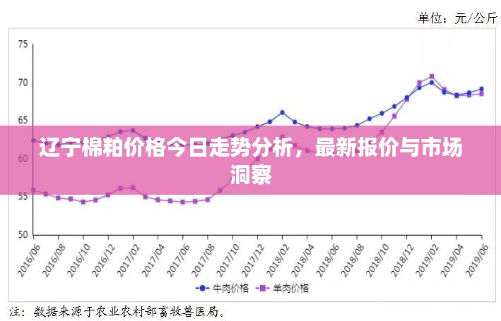 辽宁棉粕价格今日走势分析，最新报价与市场洞察