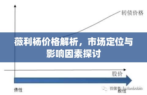 薇利杨价格解析，市场定位与影响因素探讨