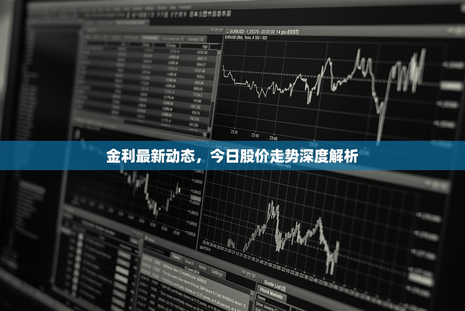 金利最新动态，今日股价走势深度解析