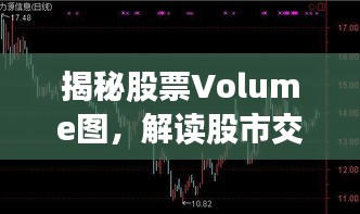 揭秘股票Volume图，解读股市交易量的深层奥秘！