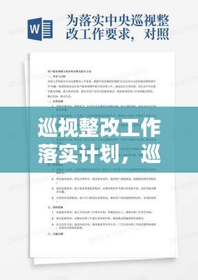 巡视整改工作落实计划，巡视整改落实情况总结 