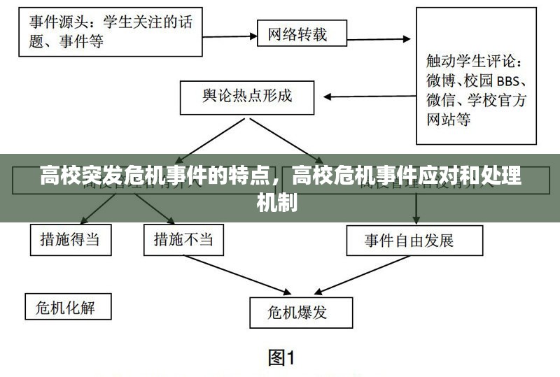 高校突发危机事件的特点，高校危机事件应对和处理机制 