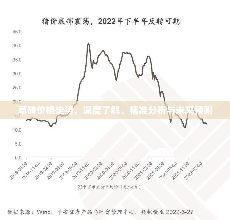 草砖价格走势，深度了解、精准分析与未来预测