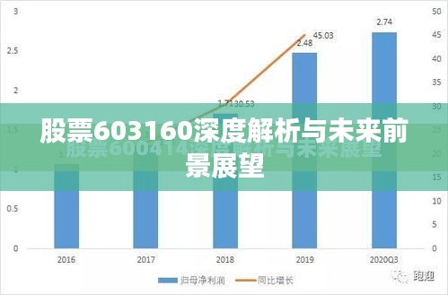 股票603160深度解析与未来前景展望