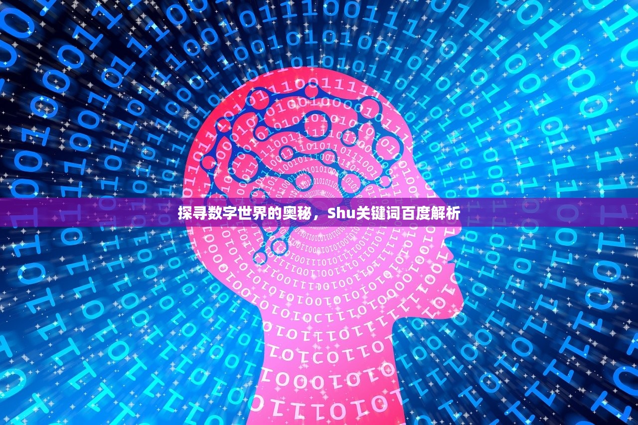 探寻数字世界的奥秘，Shu关键词百度解析