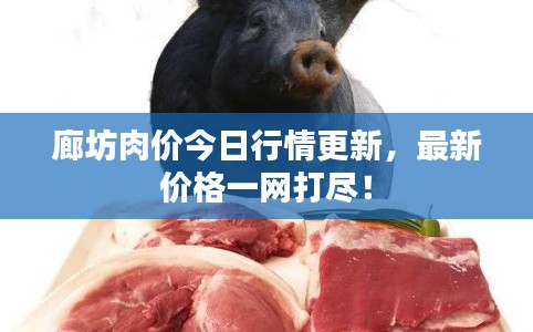 廊坊肉价今日行情更新，最新价格一网打尽！