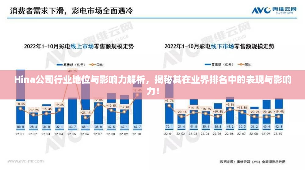 Hina公司行业地位与影响力解析，揭秘其在业界排名中的表现与影响力！