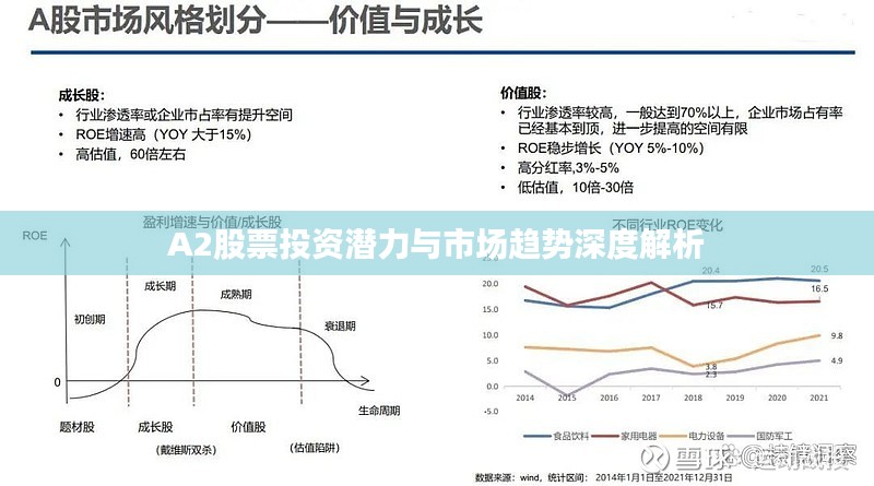 A2股票投资潜力与市场趋势深度解析