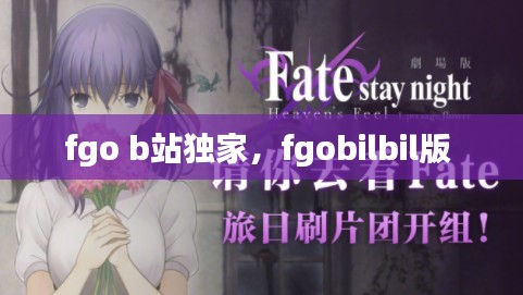 fgo b站独家，fgobilbil版 