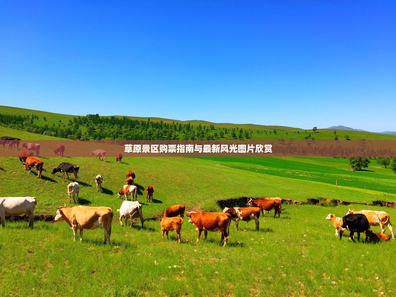 草原景区购票指南与最新风光图片欣赏