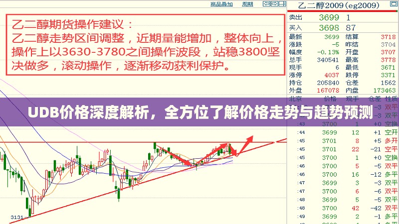 UDB价格深度解析，全方位了解价格走势与趋势预测