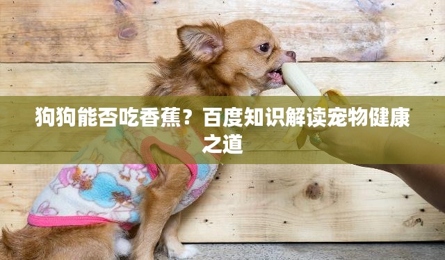 狗狗能否吃香蕉？百度知识解读宠物健康之道