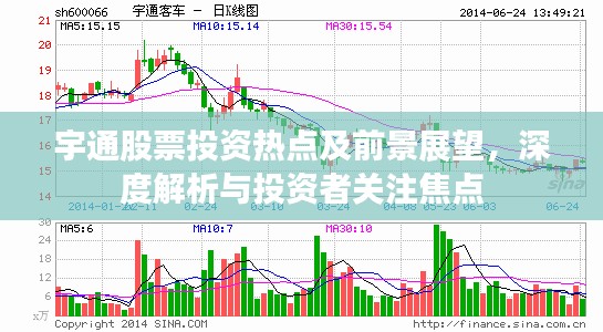 宇通股票投资热点及前景展望，深度解析与投资者关注焦点