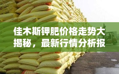 佳木斯钾肥价格走势大揭秘，最新行情分析报告！