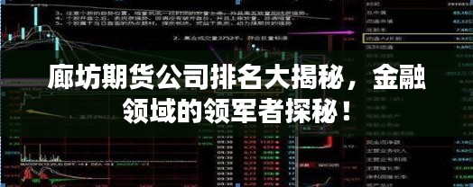 廊坊期货公司排名大揭秘，金融领域的领军者探秘！