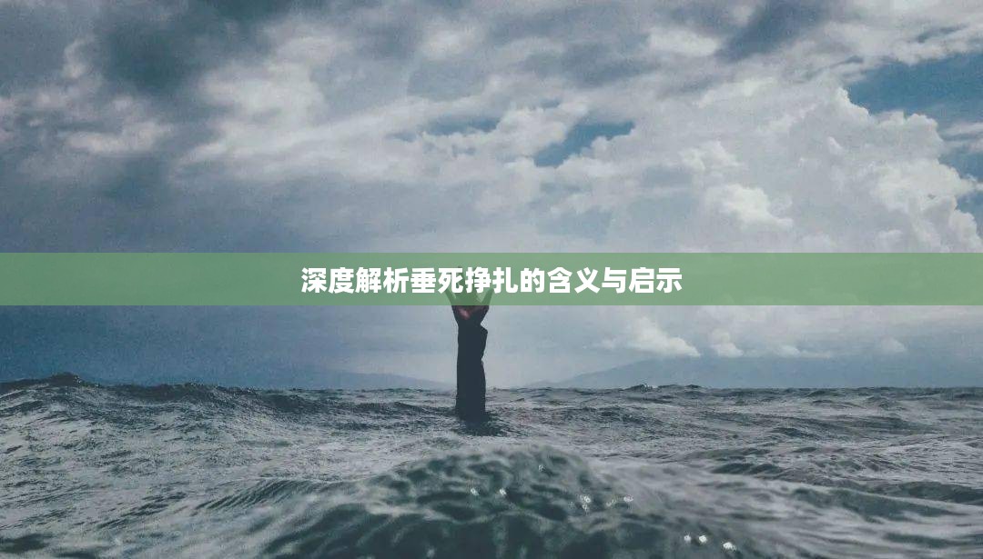 深度解析垂死挣扎的含义与启示