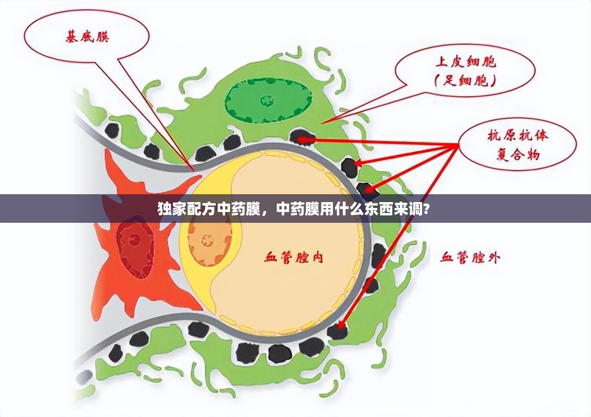 独家配方中药膜，中药膜用什么东西来调? 