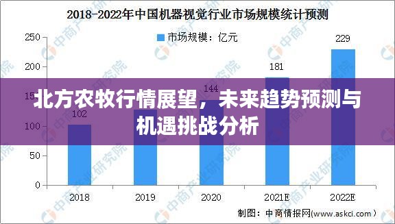 北方农牧行情展望，未来趋势预测与机遇挑战分析