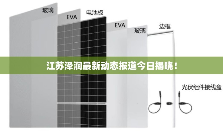 江苏泽润最新动态报道今日揭晓！