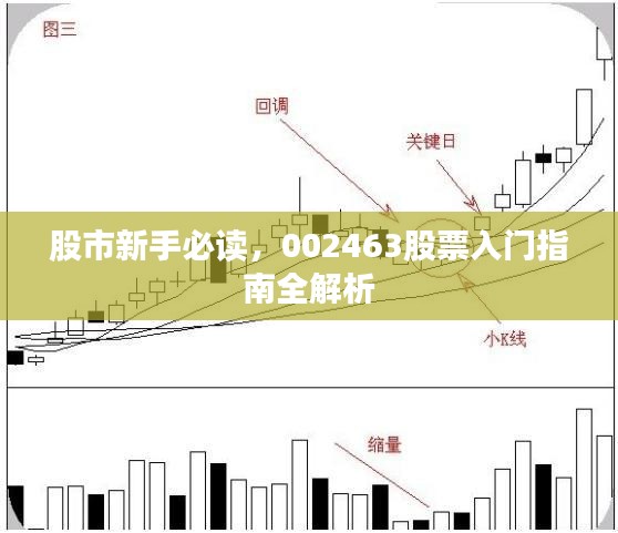 股市新手必读，002463股票入门指南全解析