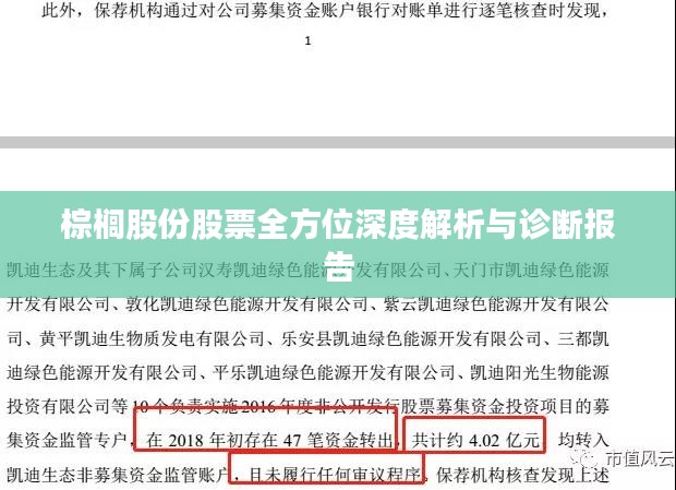 棕榈股份股票全方位深度解析与诊断报告