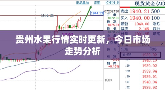 贵州水果行情实时更新，今日市场走势分析