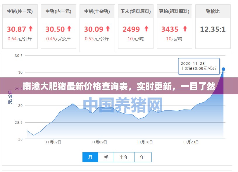 南漳大肥猪最新价格查询表，实时更新，一目了然